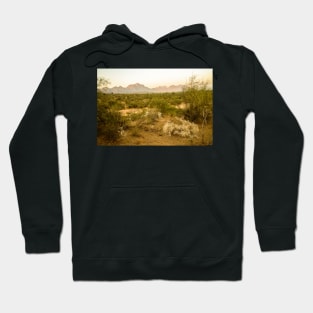 Rajasthan Sunset Hoodie